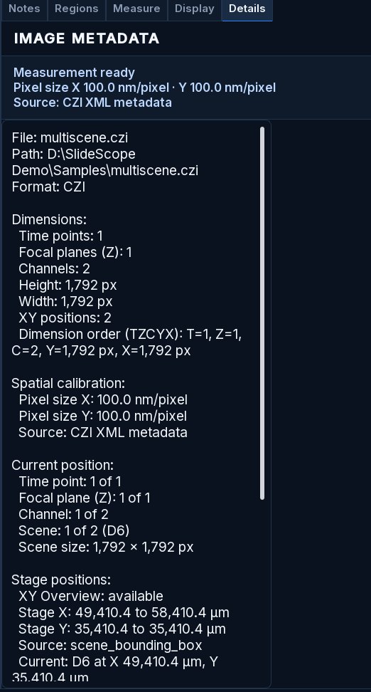 The Details panel listing a pixel size of 100 nm, two channels, two XY positions and the current scene, 1 of 2 (D6).