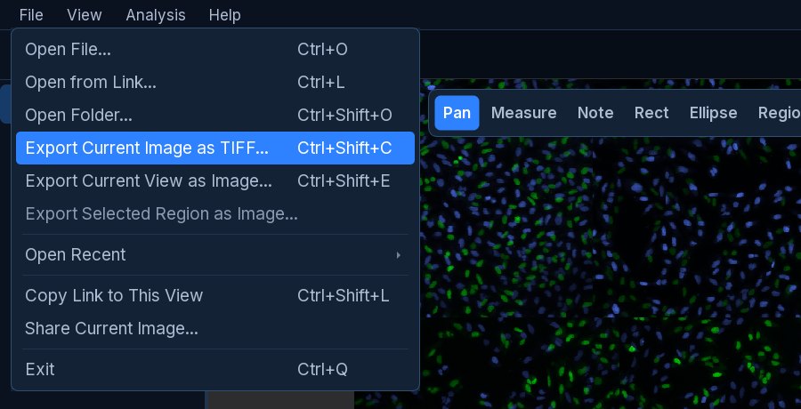 The File menu open with Export Current Image as TIFF highlighted.