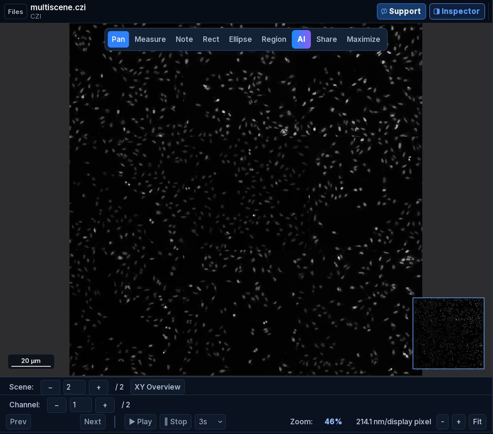 SlideScope showing scene 2 of a two-scene ZEISS CZI file, with the Scene control below the image