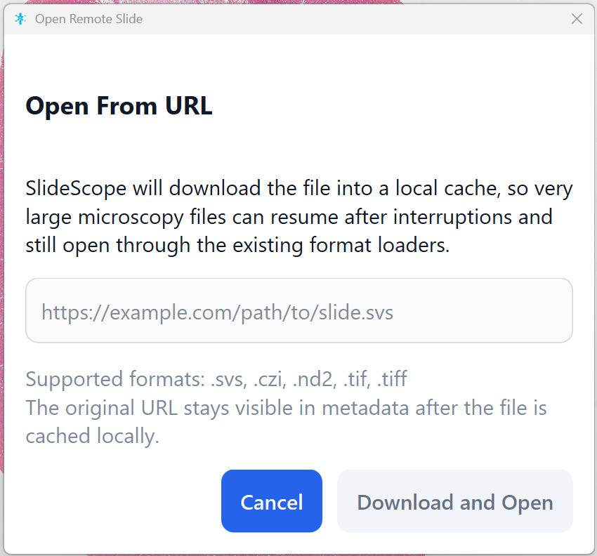 SlideScope Open from Link dialog showing how a user can load a linked microscopy slide.
